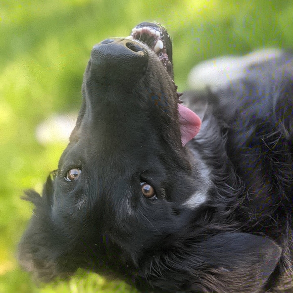 Meet your Posher, Heather - Picture 3 of 3